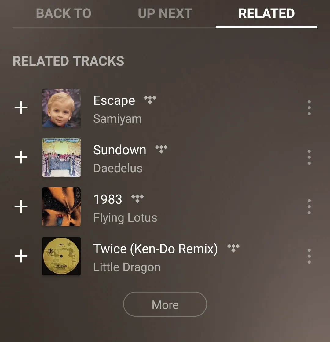 Plexamps ‘related’ tracks